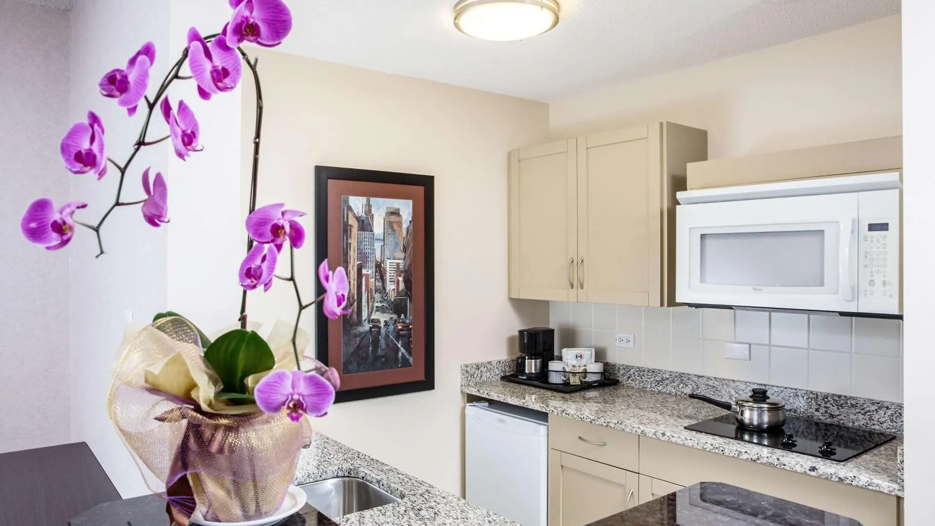 Campus Tower Suite Hotel Эдмонтон Канада